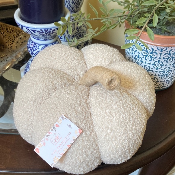 NEW! Fall Harvest FARMHOUSE Cottage Sherpa Peach & Cream Autumn Pumpkin Pillow - Picture 4 of 11